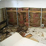 R.E.O. property during mold remediation